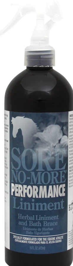 Arenus® Sore No-More® Performance Liniment Spray