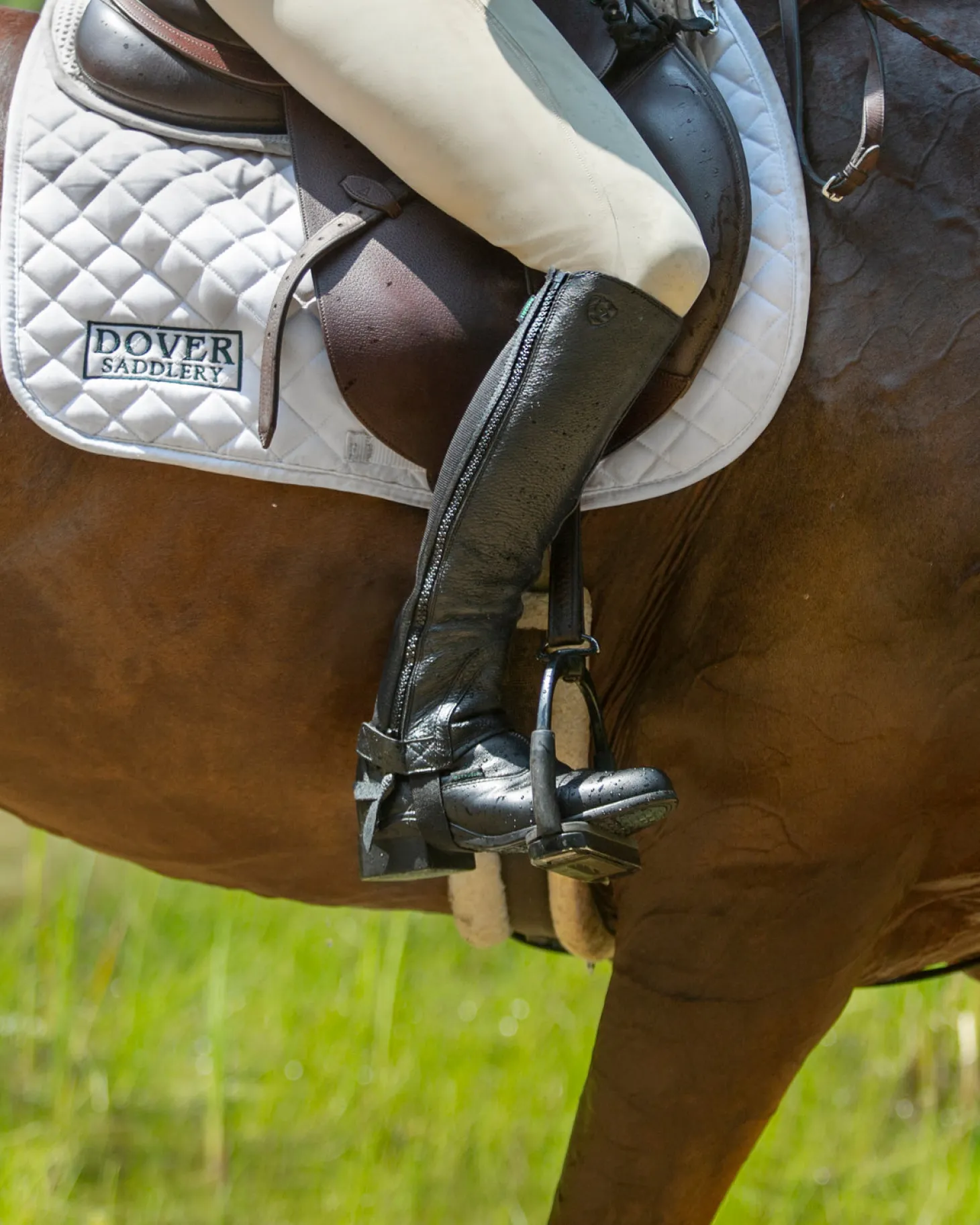 Ariat® Breeze Half Chaps