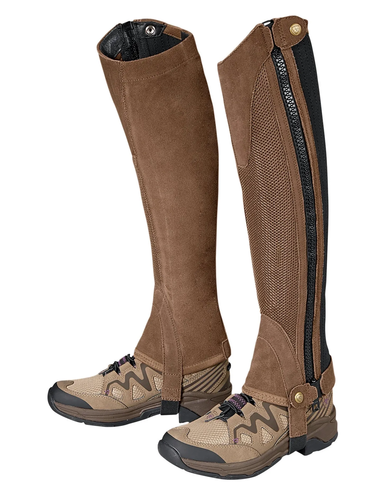 Ariat® Terrain II Half Chap