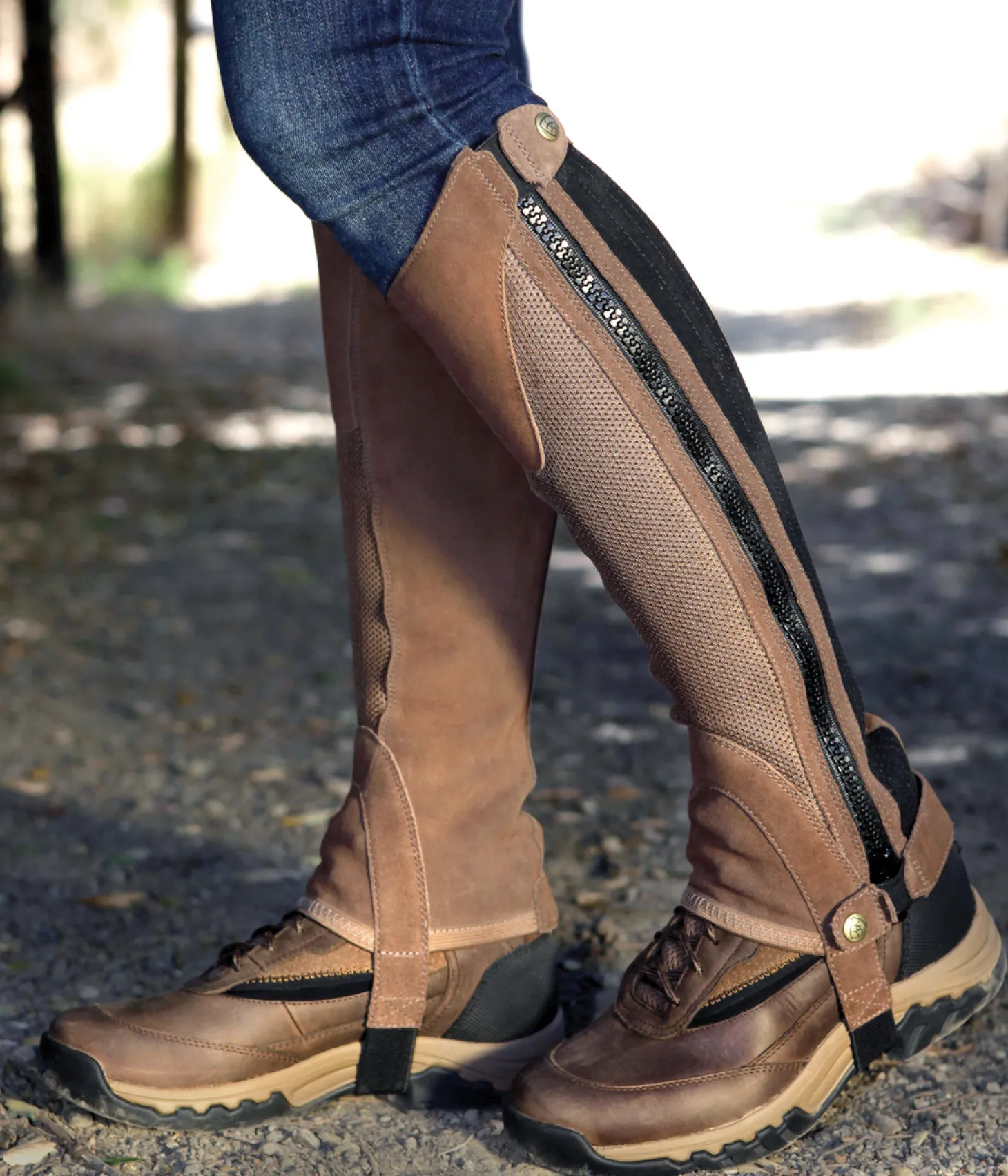 Ariat® Terrain II Half Chap