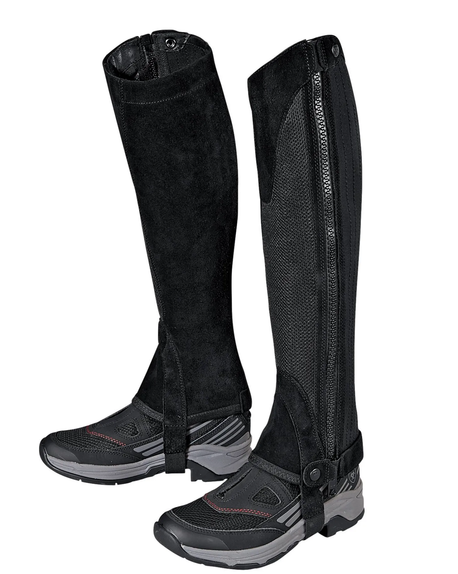 Ariat® Terrain II Half Chap