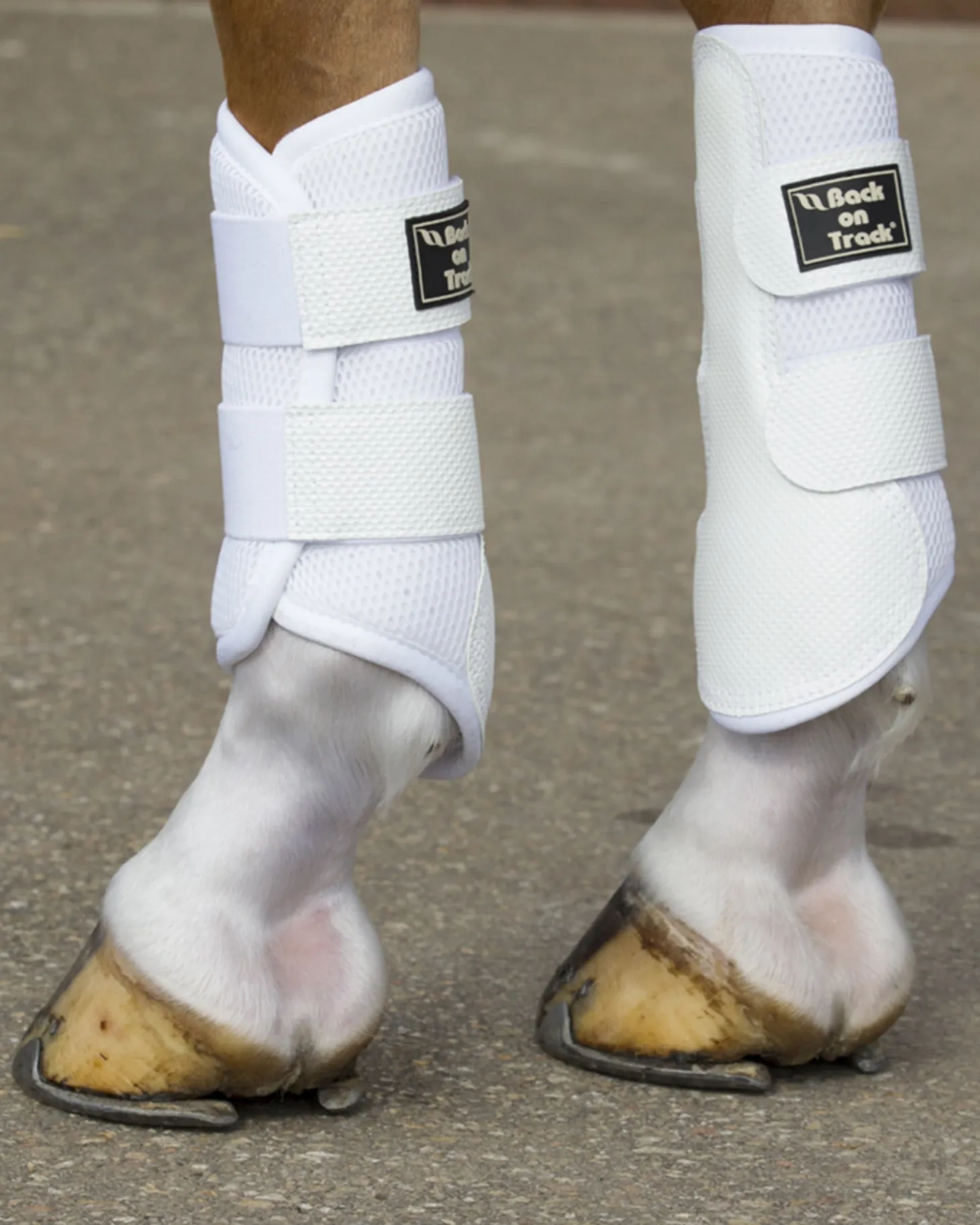 Back on Track® 3D Mesh Splint Boots