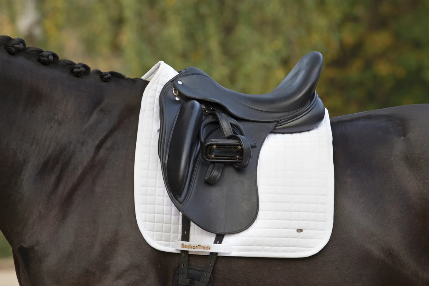 Back on Track® Dressage Pad