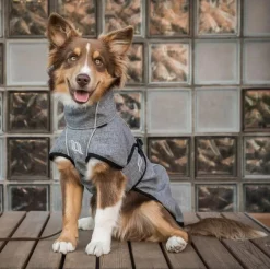 Back on Track® Nella Small Dog Coat