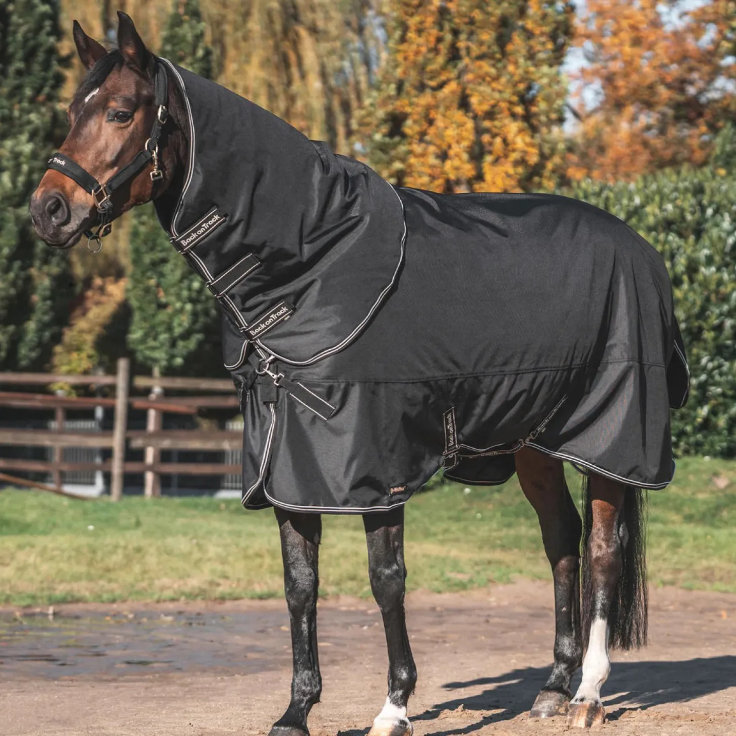 Back on Track® Obsidian 150G Turnout Blanket with Neck Cover