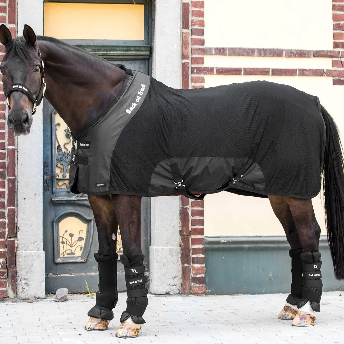 Back on Track® Royal Mesh Deluxe Sheet