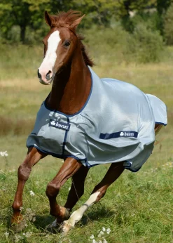 Bucas Buzz-Off Classic Fly Sheet