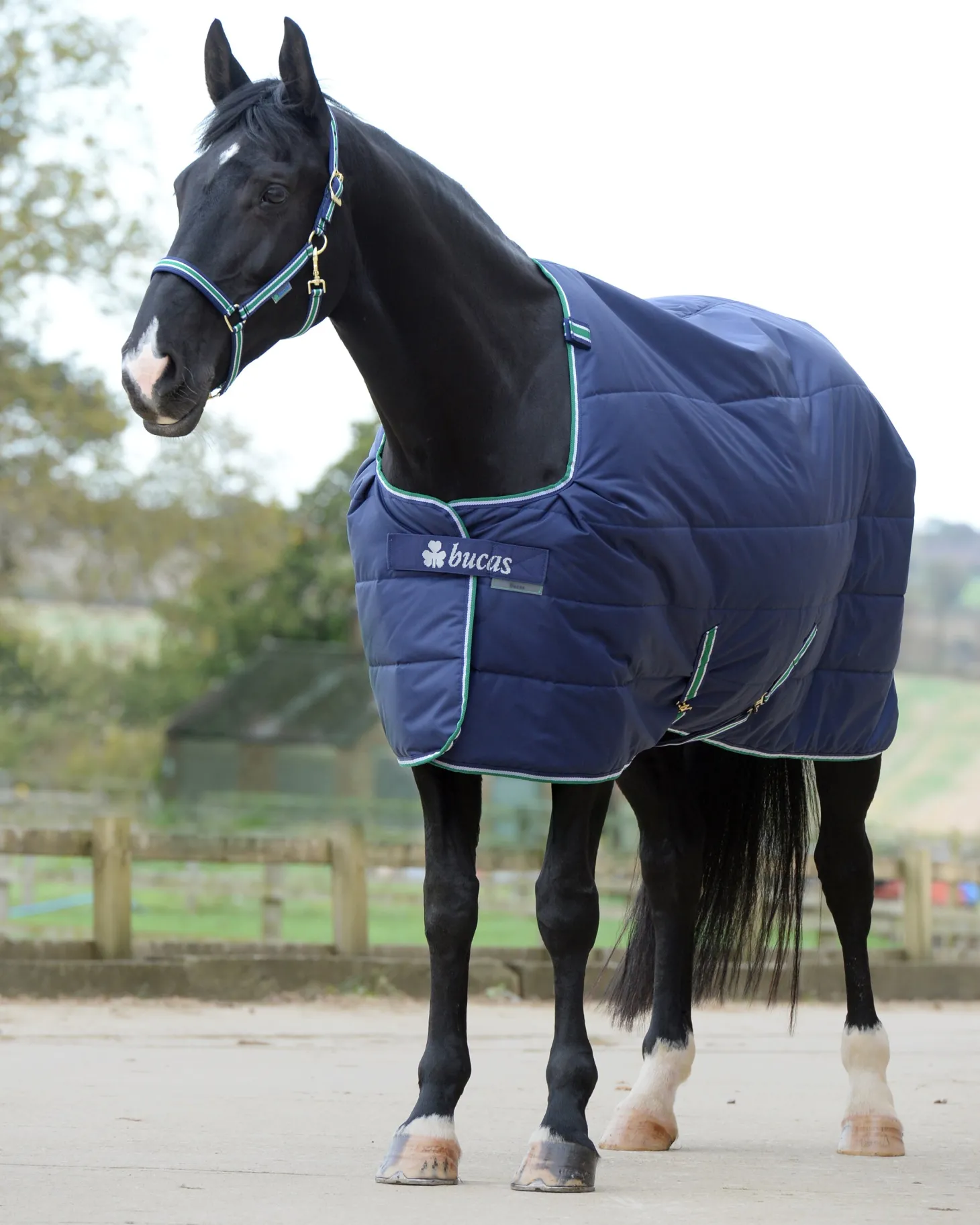 Bucas Quilt Medium-Weight Stable Blanket with Stay Dry™ Lining - 150 grams