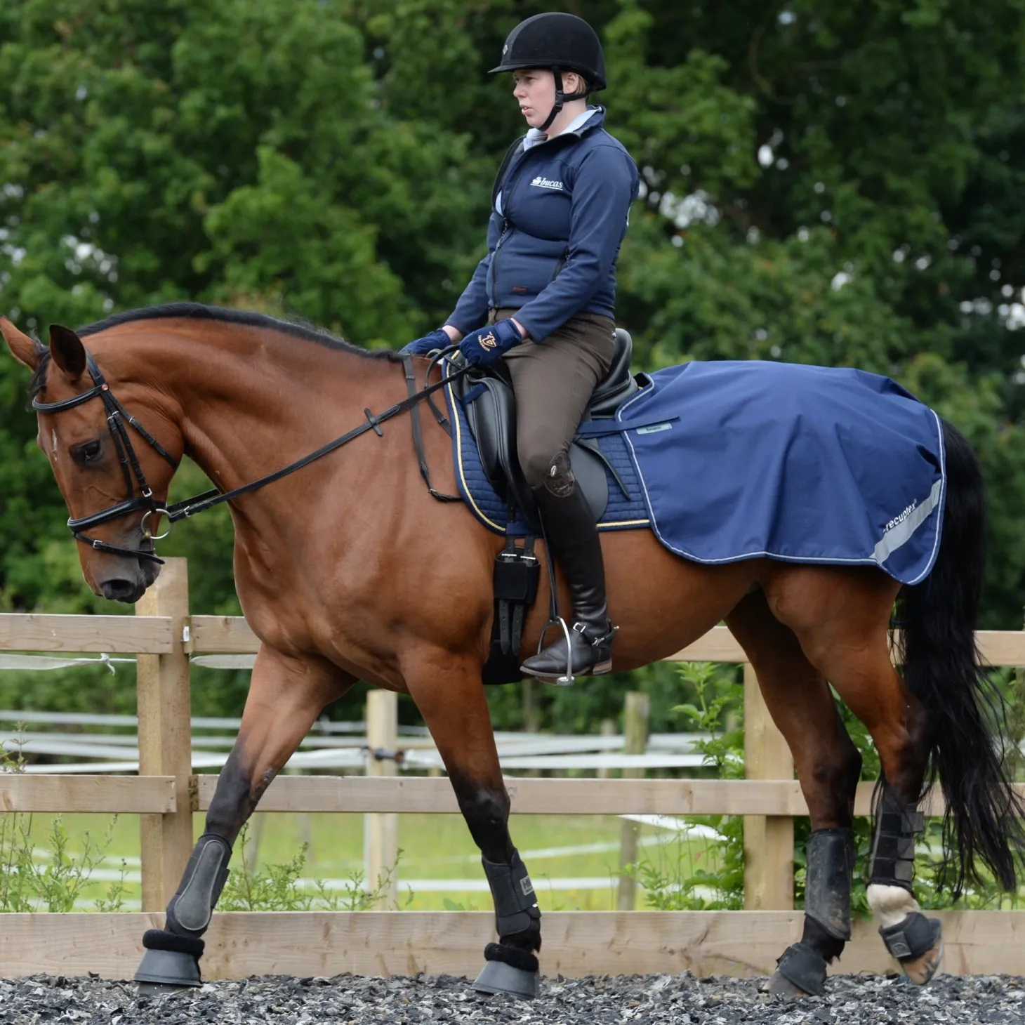 Bucas Therapy Quarter Sheet