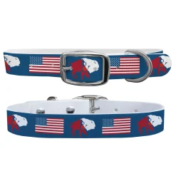 C4 Dog Collar