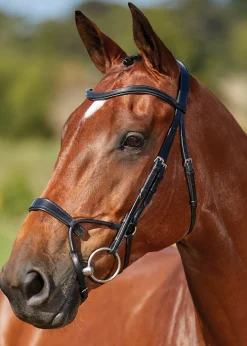 Collegiate® ComFiTec™ Training Bridle