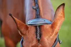 Collegiate® ComFiTec™ Training Bridle