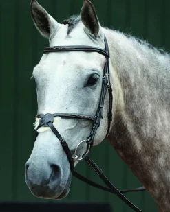 Collegiate® Essential Padded Raised Fancy-Stitched Figure-8 Bridle