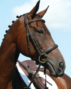 Collegiate® Syntovia+ Padded Raised Caveson Bridle