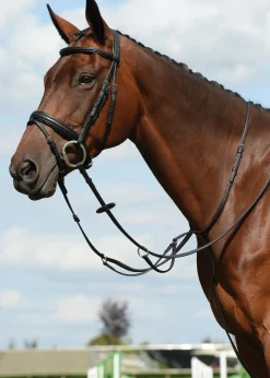 Collegiate® Syntovia+ Plain Flat Running Martingale