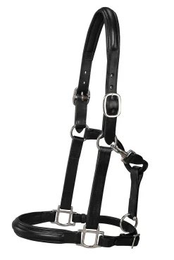 DS Classic Plain Raised Padded Halter
