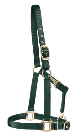 DS Heavy Nylon Halter