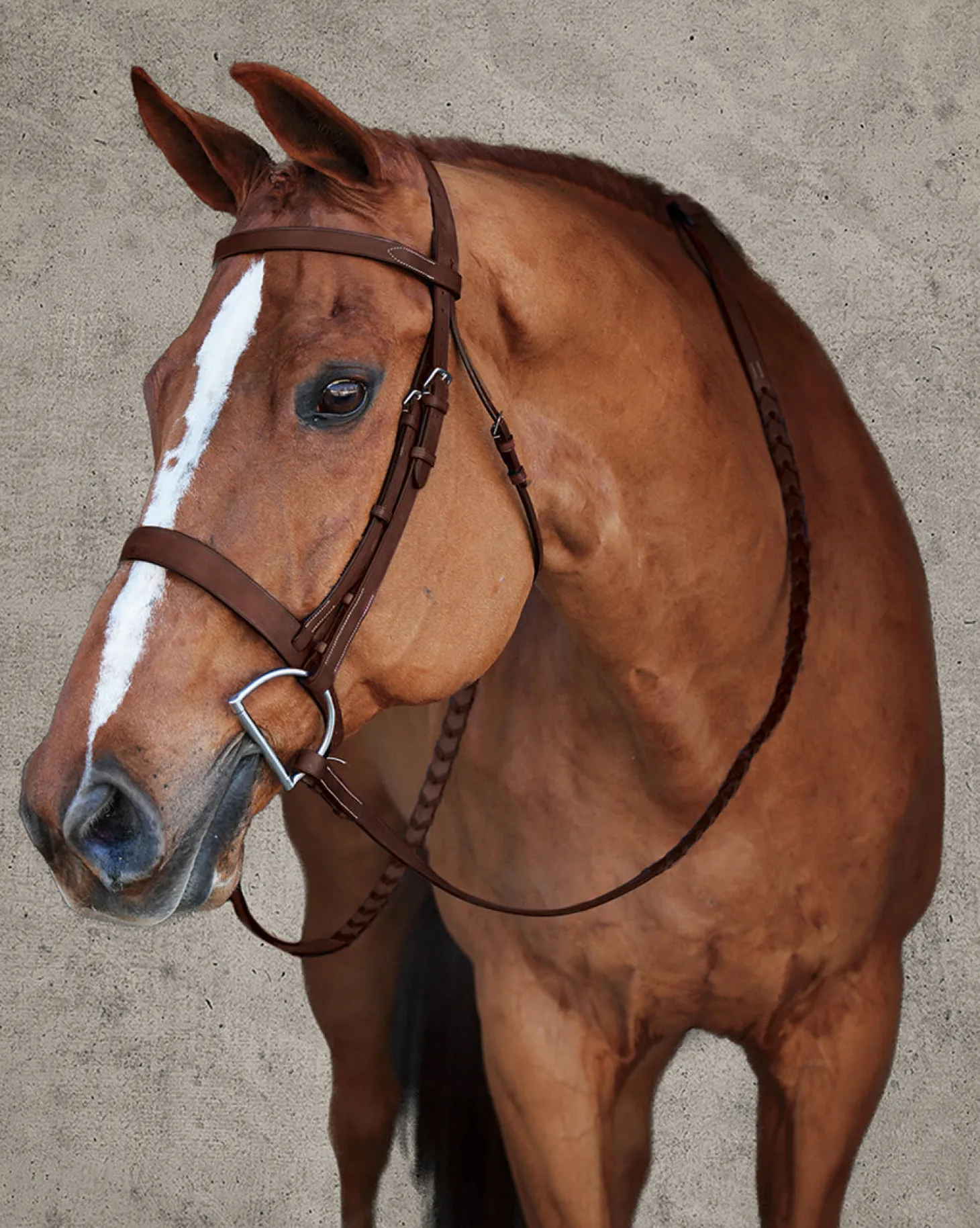 DS Premier Hunt Bridle