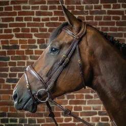 Dy'on® Anatomic Bridle