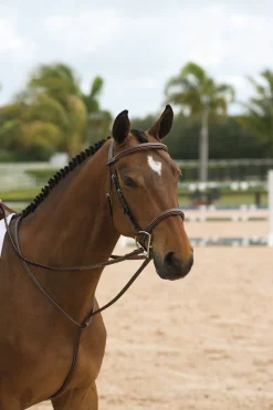 Dy'on® Standing Martingale