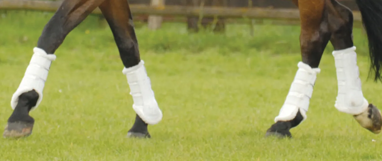 E.A. Mattes Front Sheepskin Boots