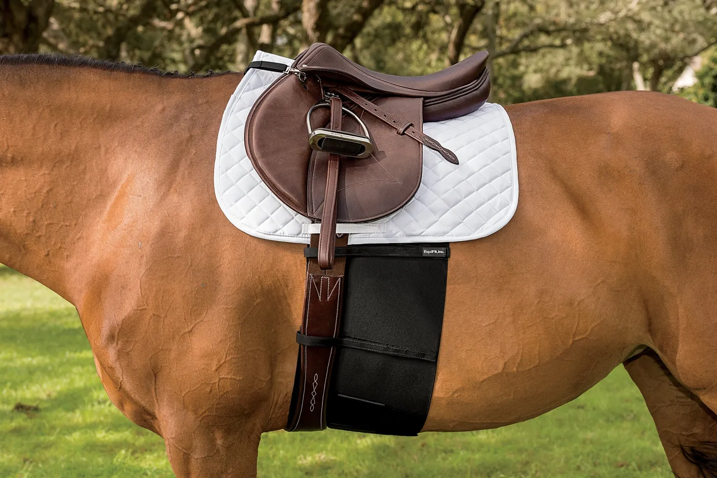 EquiFit® BellyBand™