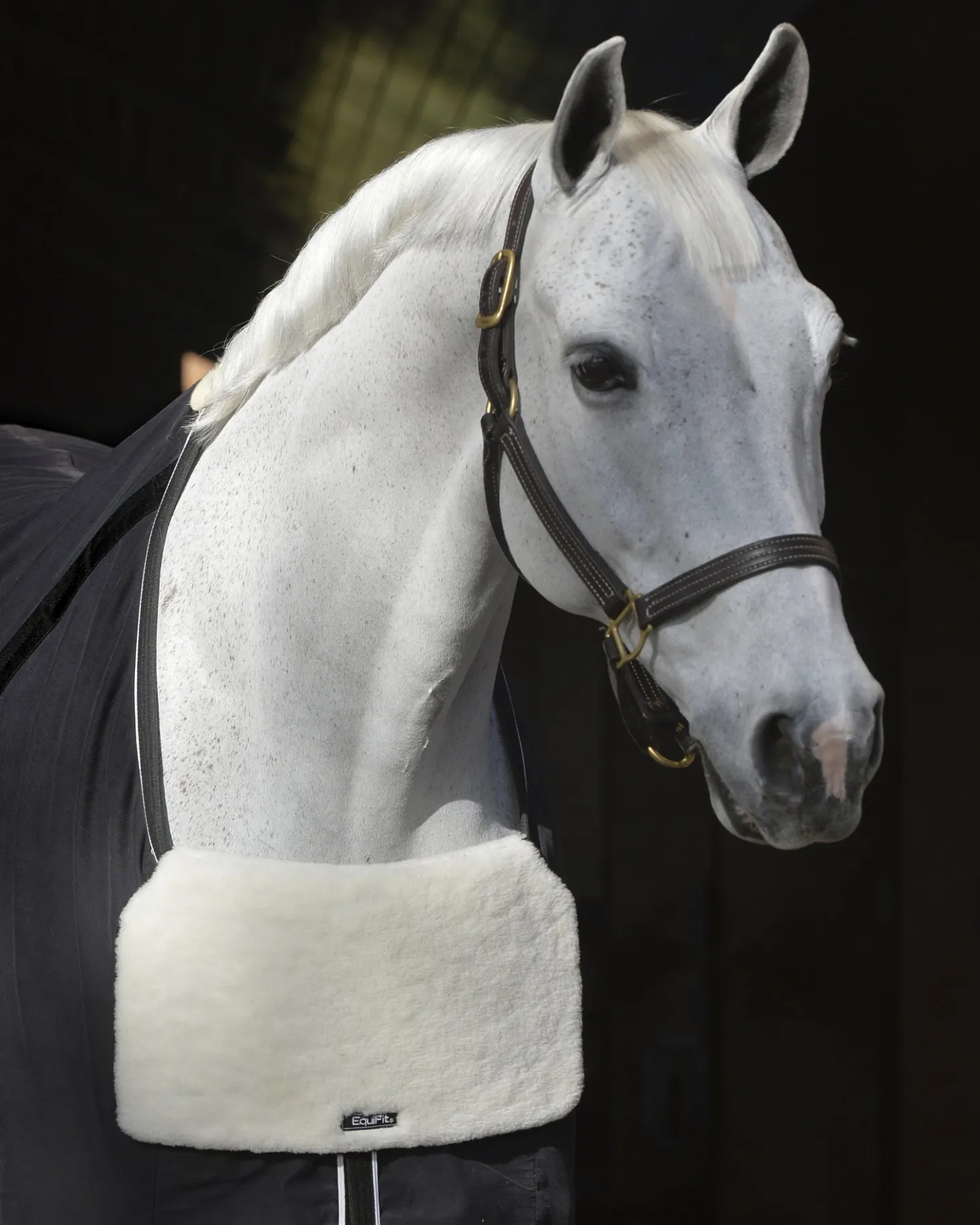 EquiFit® BlanketBib