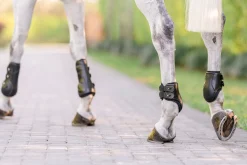 EquiFit® Eq-Teq™ Hind Boots