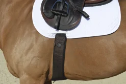 EquiFit® Essential Schooling Girth with SheepsWool™ Liner