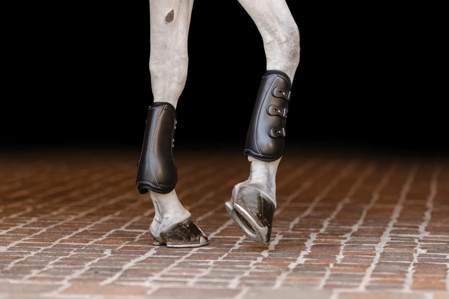 EquiFit® EXP3™ Open Front Boots