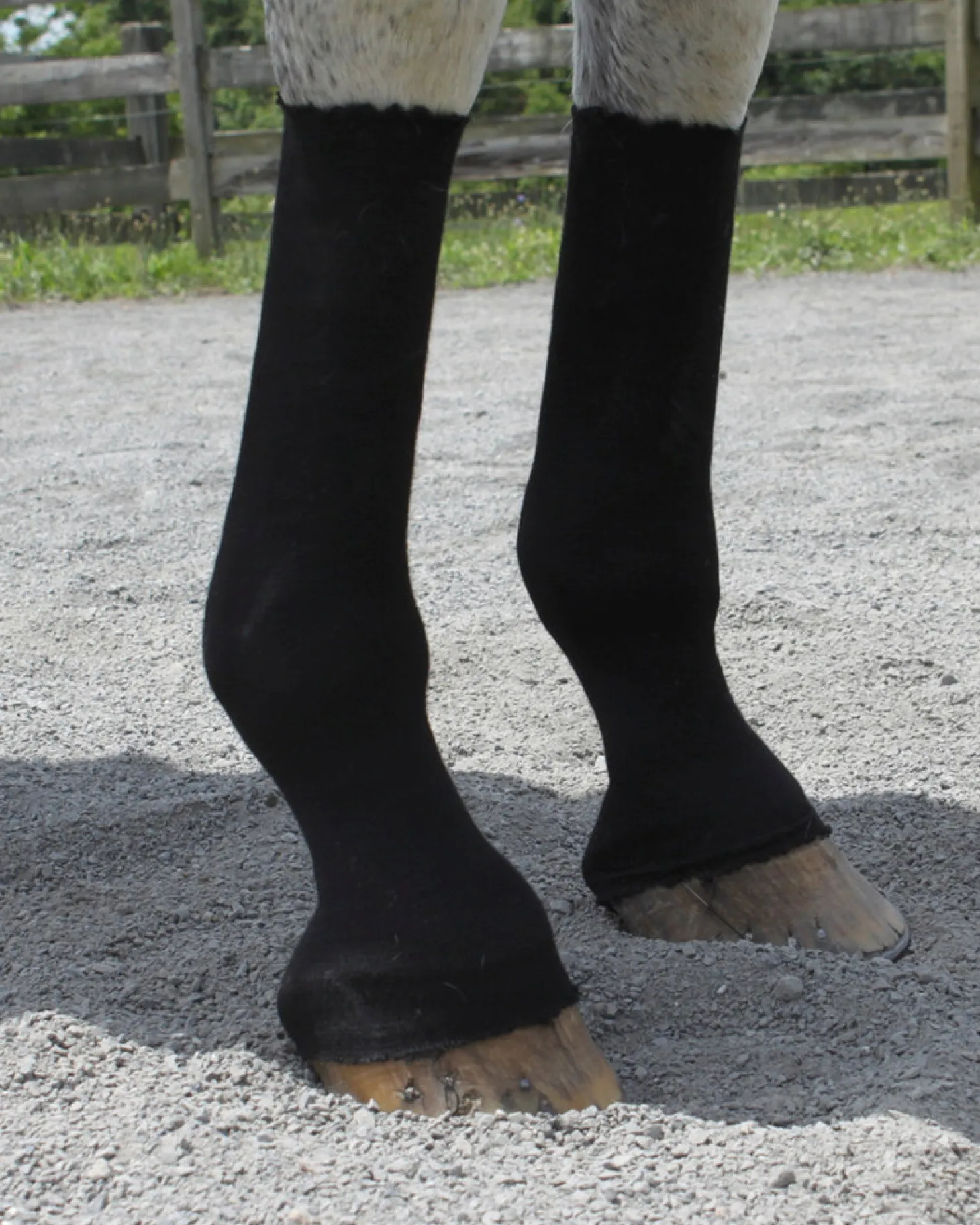 EquiFit® HorseSox Barn Roll