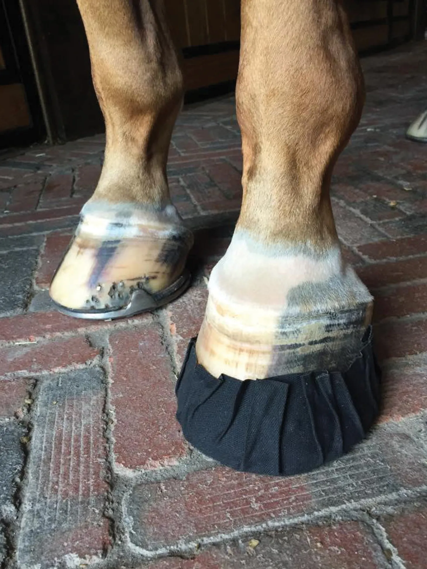 EquiFit® Pack-N-Stick HoofTape - 6 pack