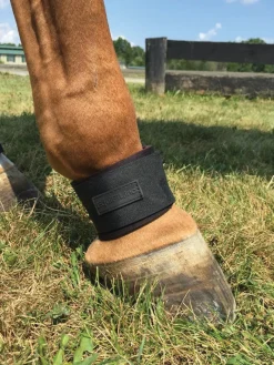 EquiFit® Pastern Wrap