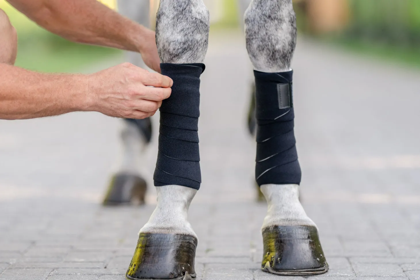 EquiFit® T-Sport Wraps™