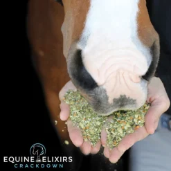 Equine Elixirs Crackdown®