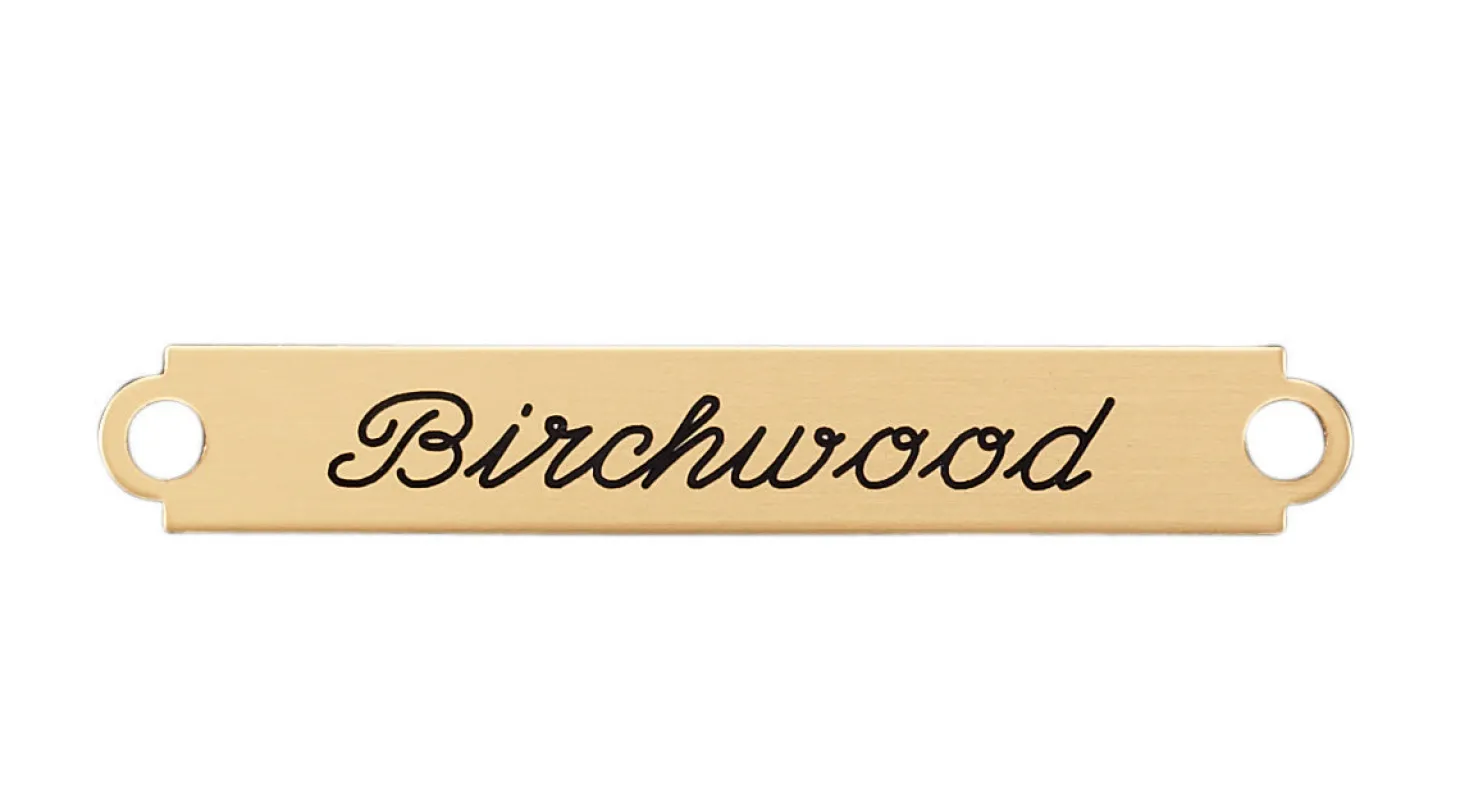 Fancy Bridle and Accessory Plate