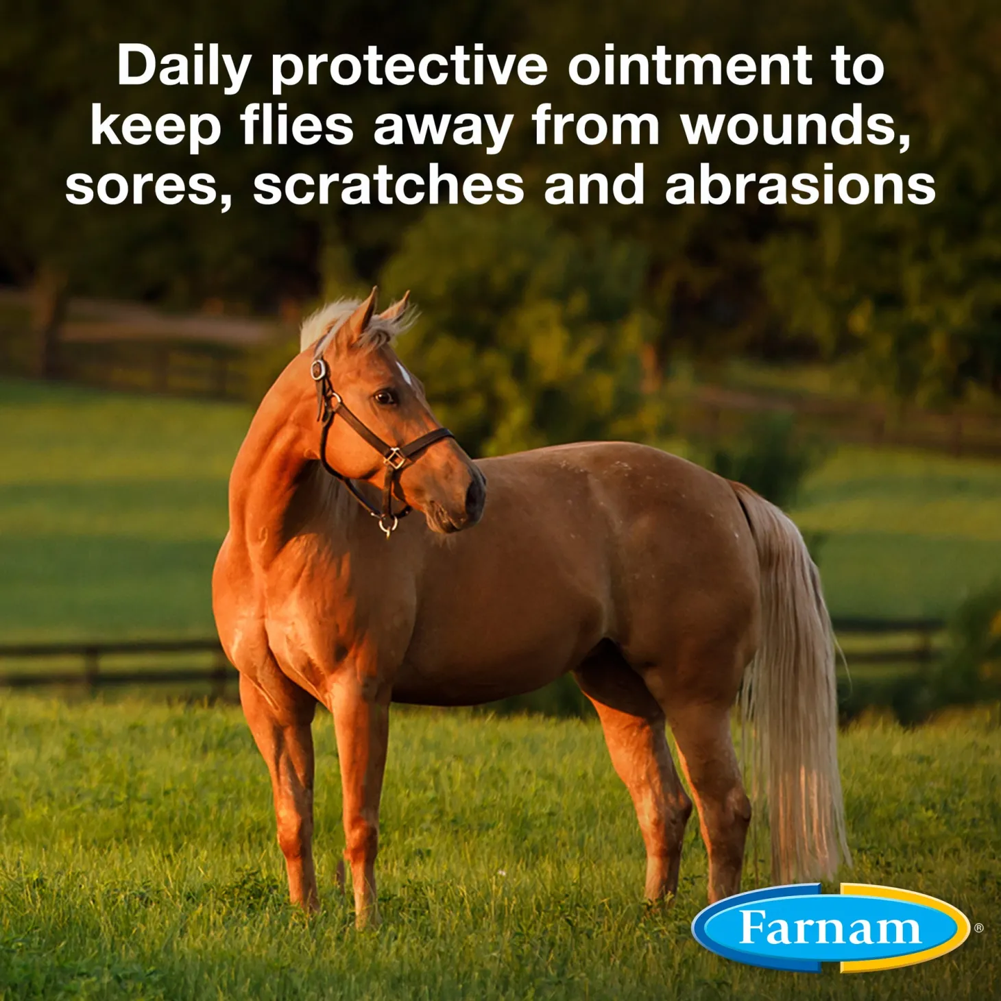 Farnam® Swat® Clear Fly Repellent Ointment