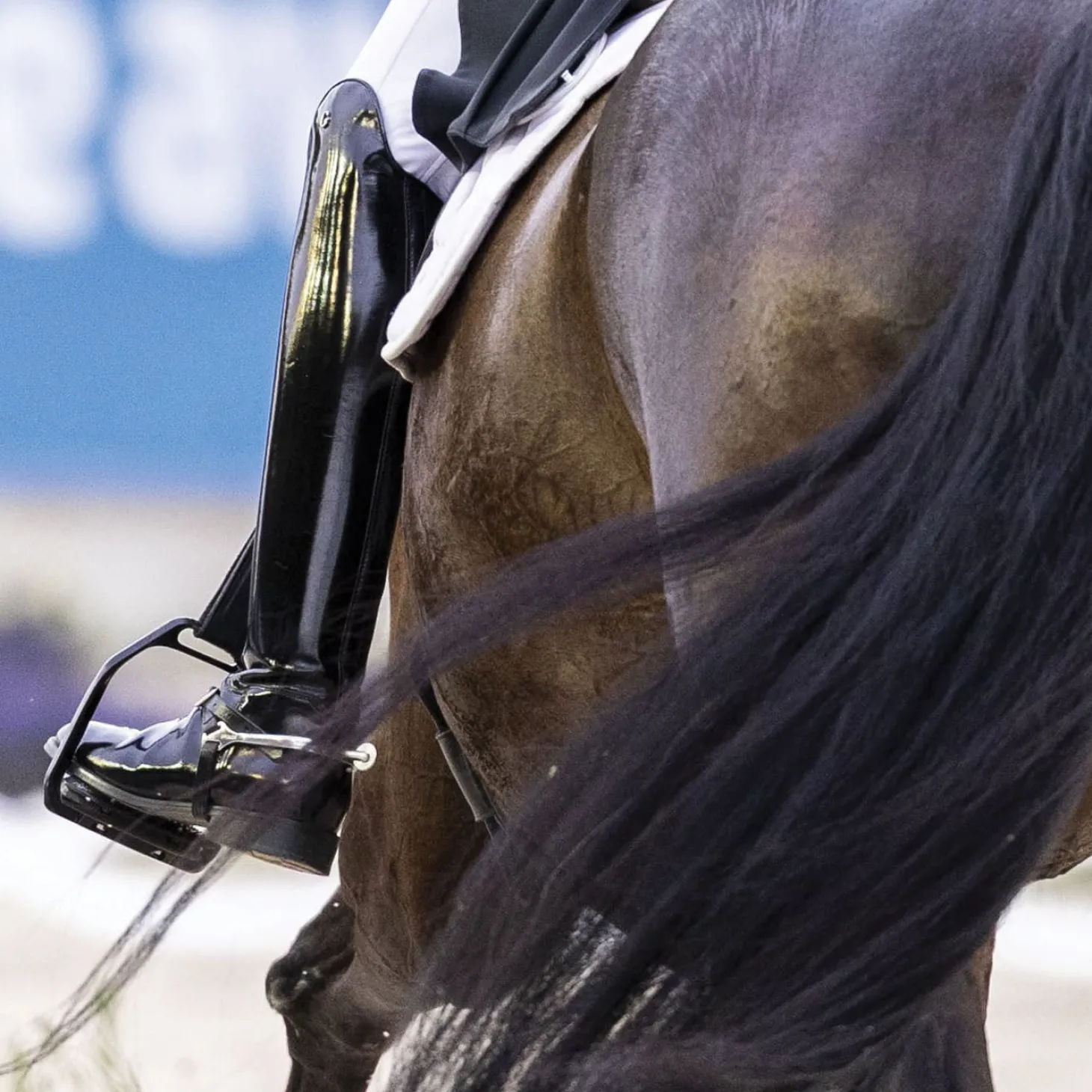 Freejump Air Pure Fillis Stirrup