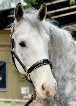 Halter Ego Aurelia Rose Gold Halter