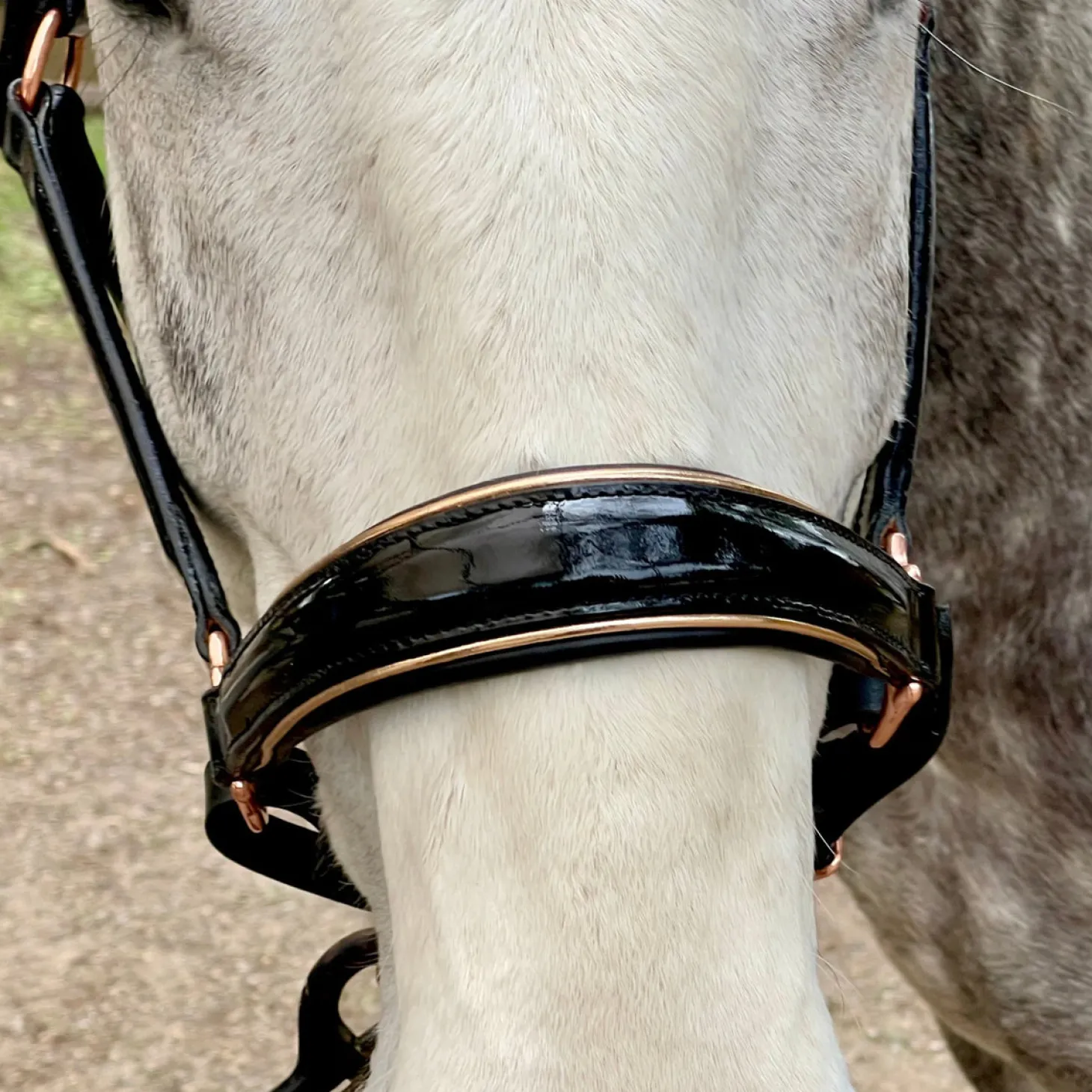 Halter Ego® Catalonia Halter