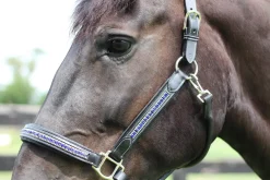 HDR Padded Jewel Halter