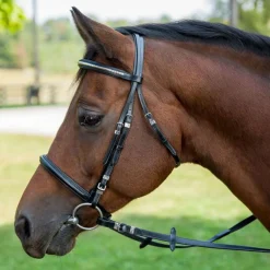 Henri de Rivel Clincher Bridle