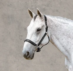 Henri de Rivel Padded Leather Crystal Halter