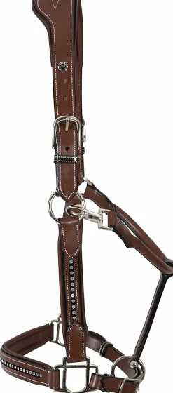 Henri de Rivel Padded Leather Crystal Halter
