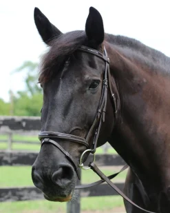 Henri de Rivel Piaffe Mono Crown Bridle with Flash Noseband & Patent Leather