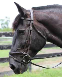 Henri de Rivel Piaffe Mono Crown Bridle with Flash Noseband & Patent Leather
