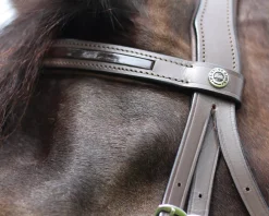 Henri de Rivel Piaffe Mono Crown Bridle with Flash Noseband & Patent Leather