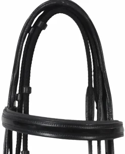 Henri de Rivel Piaffe Mono Crown Bridle with Flash Noseband & Patent Leather