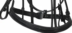 Henri de Rivel Piaffe Mono Crown Bridle with Flash Noseband & Patent Leather