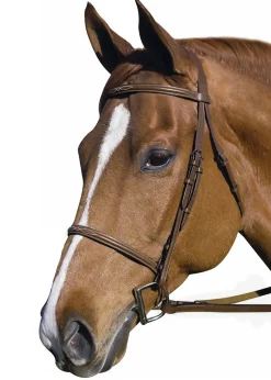 Henri de Rivel Pro Fancy Raised Bridle with Laced Reins